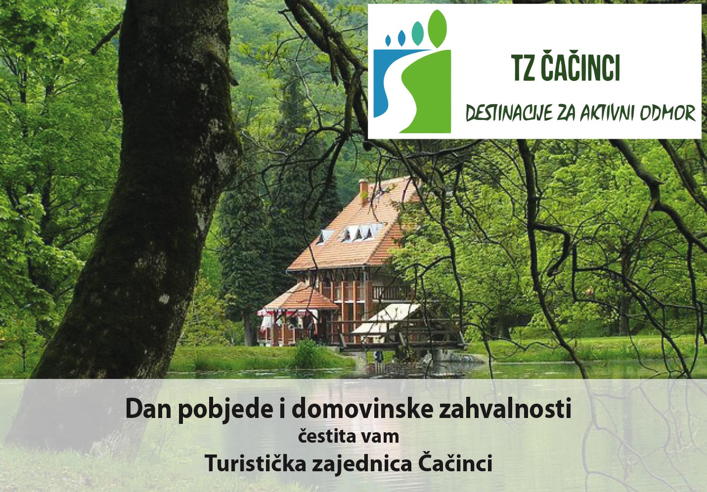 tz cacinci