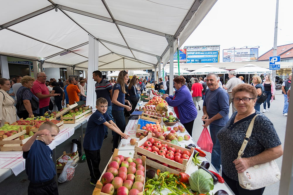 agroexpo 2019 31