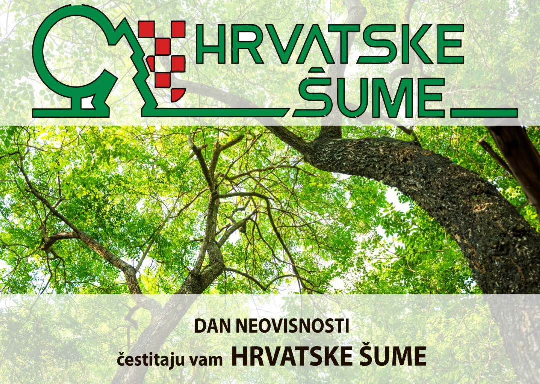 hr sume