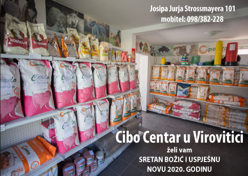 cibo