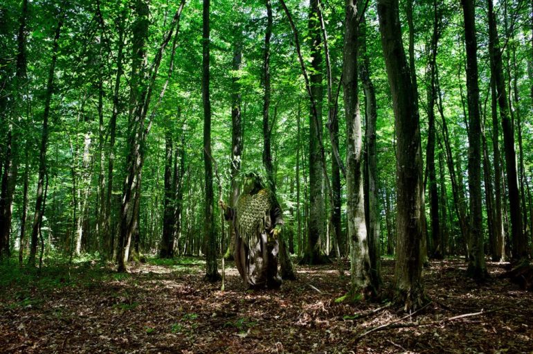 Wood Ved IvaLulic Čudesni svijet nadnaravnih bića iz tradicijskih vjerovanja Podravine
