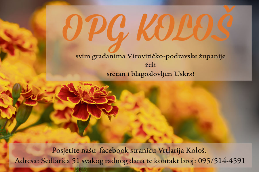 kološ