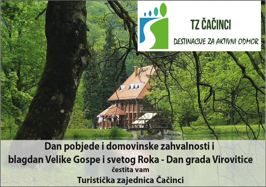 tz cacinci