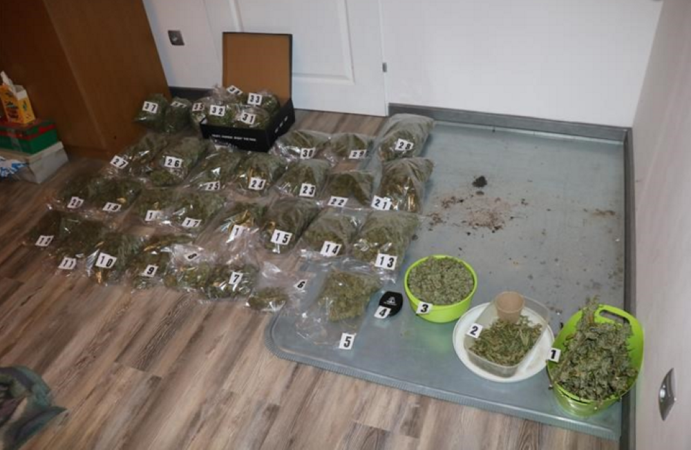 droga Tenja