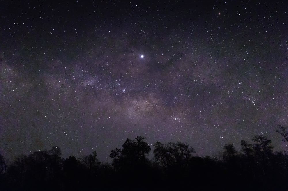 sky full stars silhouettes trees Fotor