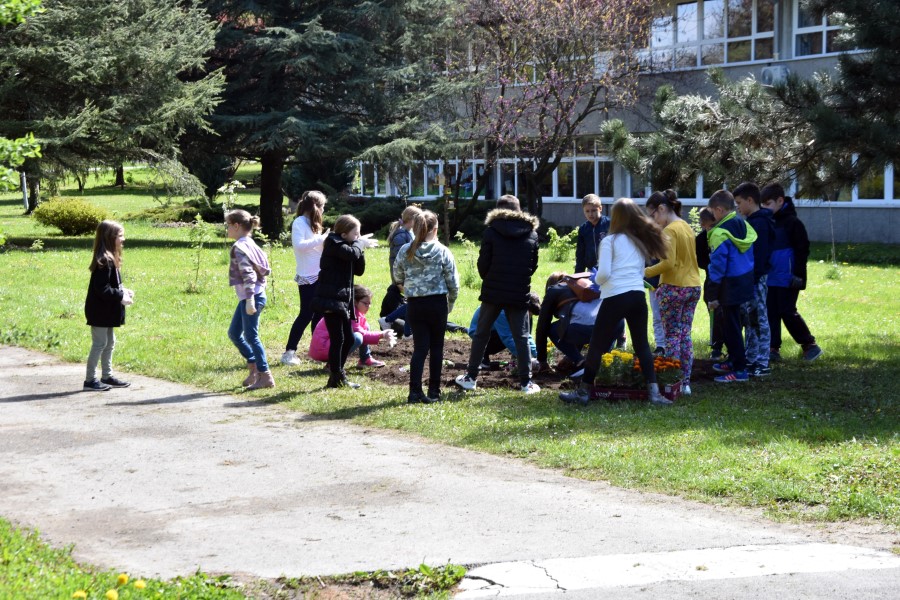 Uredenje okolisa skole 3