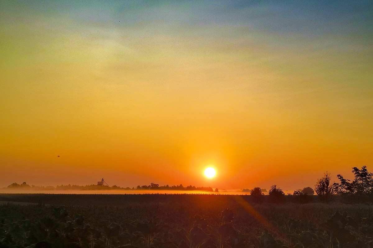 IMG 20210707 052949