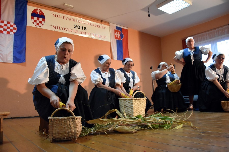 Dani kukuruza Miljevci