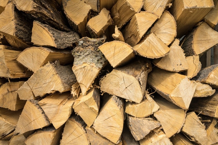 closeup shot oak beech firewoods stacked each other