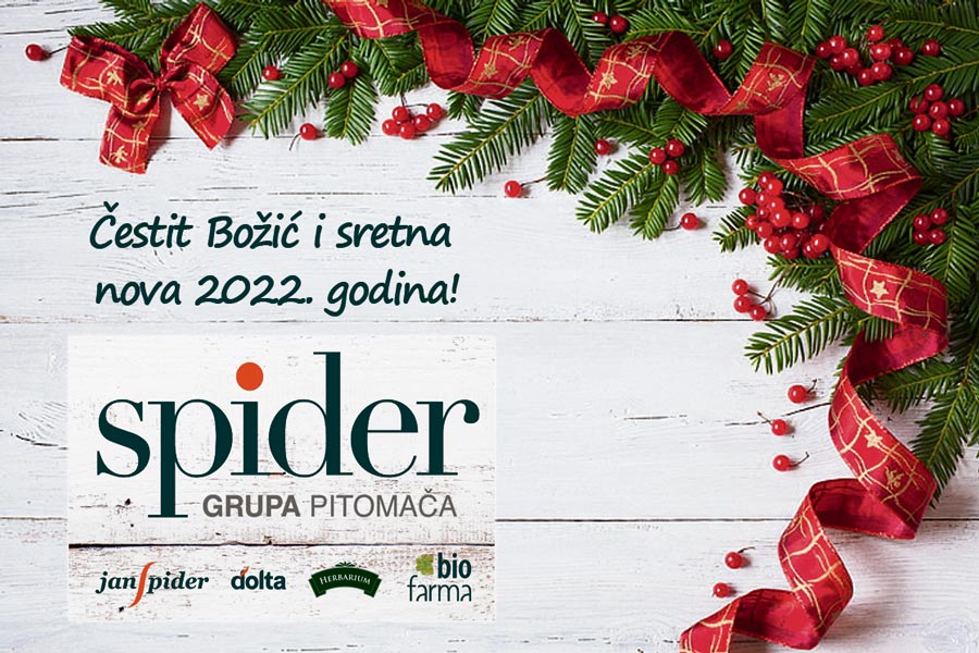 spider