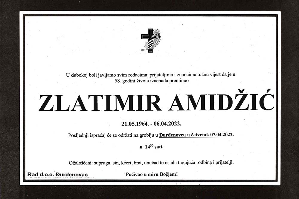 zlatimir amidzic