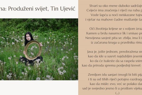 tin ujevic pjesma