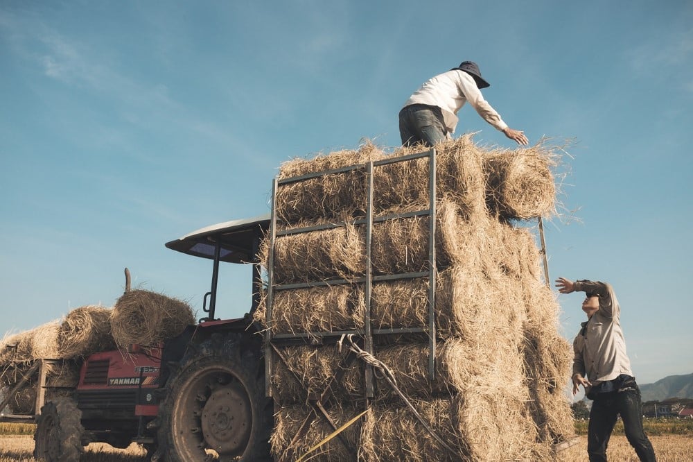 hay bales gbf0b3eee8 1280 Custom