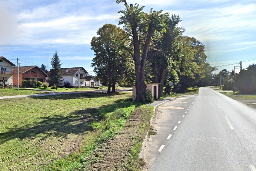 Staza