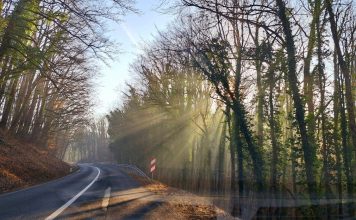 Natalija Kozic Lukacevic Sunce u zagrljaju slatinske sume