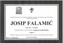 Falamic page 0001