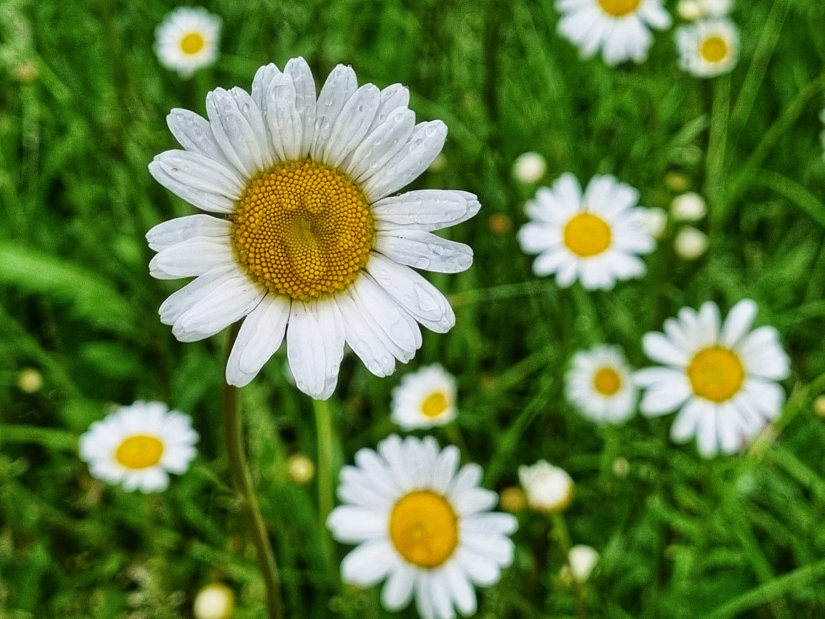 Jasminka Vampovac Jezero Javorica Slatina 1