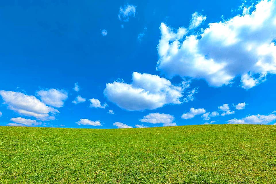 windows