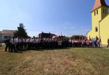 IMG 6139 1000x667