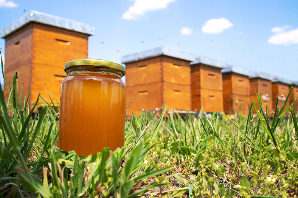 honey jar beehives meadow springtime