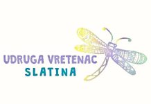 logo Custom