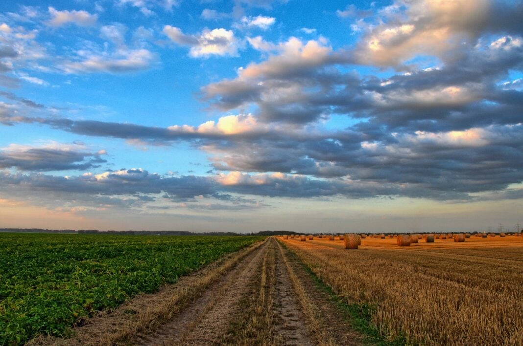 field 213364 1280 1068x708 1