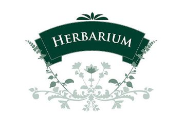 Herbarium logo