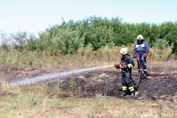 Pozar trave na groblju u Karlovcu Fericanackom 3