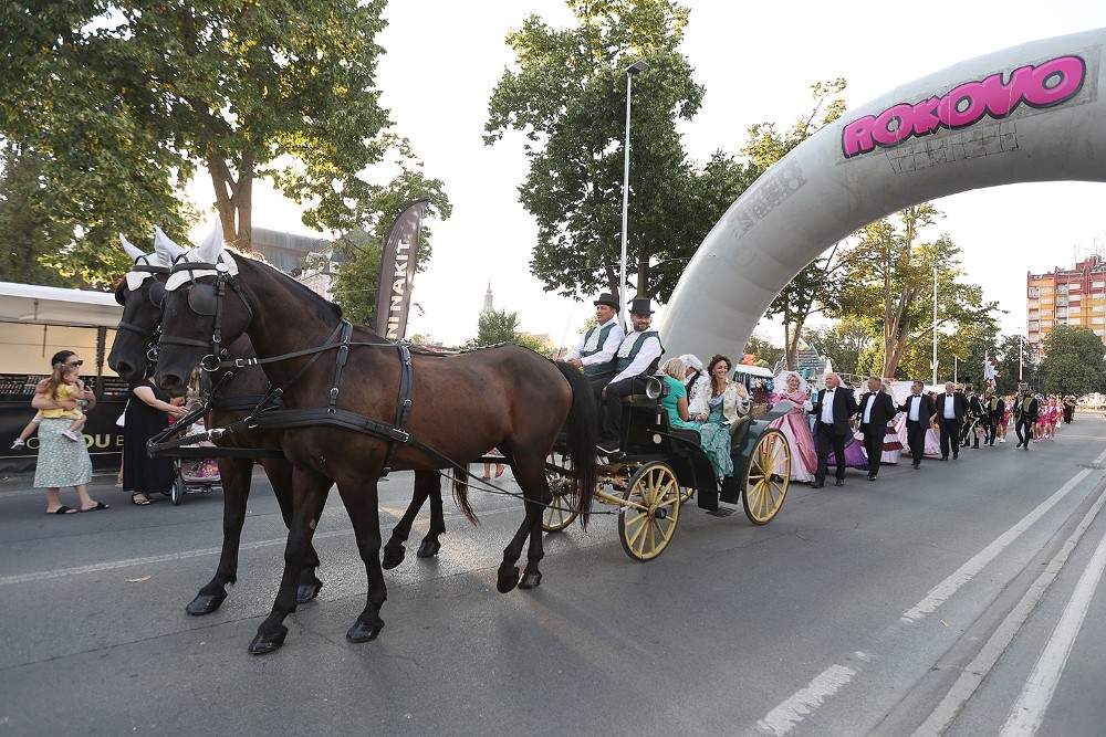 otvorenje rokova 146