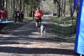 Utrka-Nasice-1-Custom