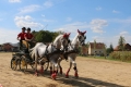 IMG_8584_1000x667