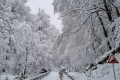 IMG-20230227-WA0039