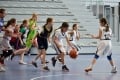 DSC_4036_resize-1