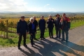 martinje-kutjevo-5
