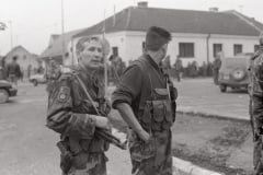 IMG-9