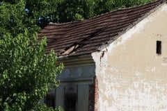 IMG_8032