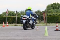 IMG_1989