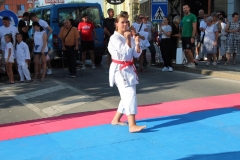 IMG_4544-Custom