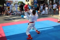 IMG_4598-Custom