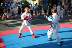 IMG_4607-Custom
