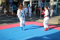 IMG_4643-Custom
