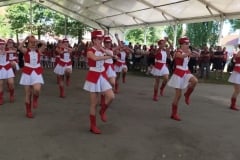 Cvjetni-korzo-i-Smotra-folklora-19-Custom