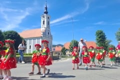 Cvjetni-korzo-i-Smotra-folklora-2-Custom