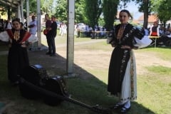Cvjetni-korzo-i-Smotra-folklora-25-Custom