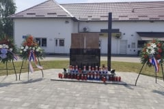 IMG-1