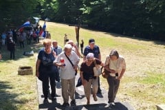 IMG-42ebdaa07295d93990f9245b41432d69-V