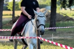 IMG_7092