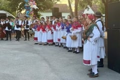 IMG_7184