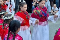 IMG_7253
