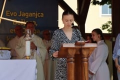 IMG_5422